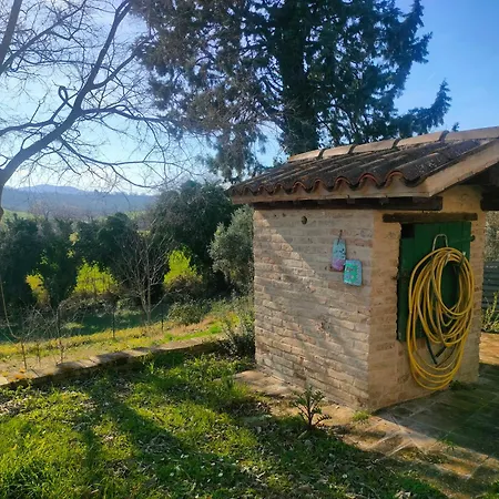 Locazione Del Cavaliere *